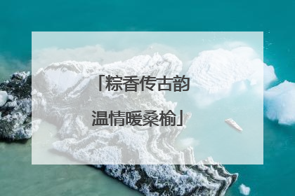 粽香传古韵 温情暖桑榆