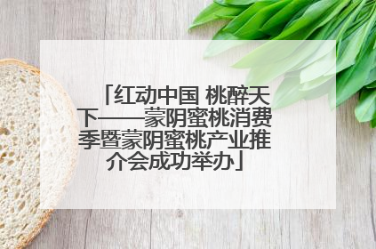 红动中国 桃醉天下——蒙阴蜜桃消费季暨蒙阴蜜桃产业推介会成功举办