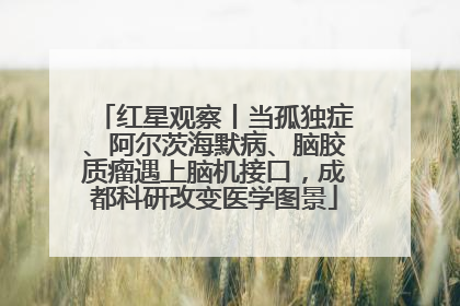红星观察丨当孤独症、阿尔茨海默病、脑胶质瘤遇上脑机接口，成都科研改变医学图景