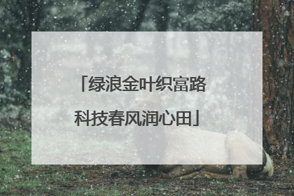 绿浪金叶织富路 科技春风润心田