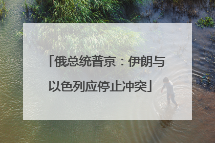 俄总统普京：伊朗与以色列应停止冲突