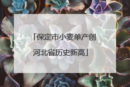 保定市小麦单产创河北省历史新高