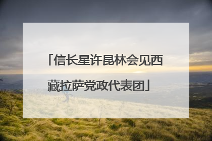 信长星许昆林会见西藏拉萨党政代表团