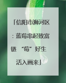 信阳市浉河区：蓝莓串起致富链 “莓”好生活入画来