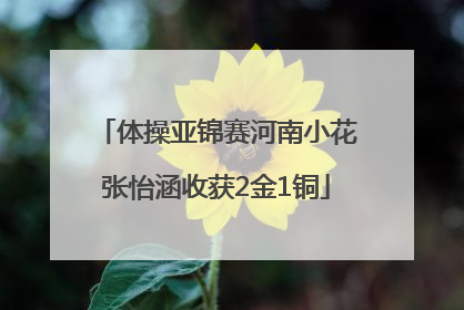 体操亚锦赛河南小花张怡涵收获2金1铜