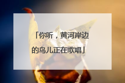 你听，黄河岸边的鸟儿正在歌唱
