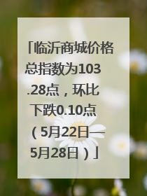 临沂商城价格总指数为103.28点，环比下跌0.10点（5月22日—5月28日）