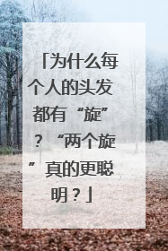 为什么每个人的头发都有“旋”？“两个旋”真的更聪明？