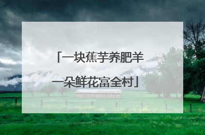 一块蕉芋养肥羊 一朵鲜花富全村