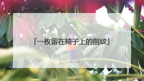 一枚留在椅子上的指纹
