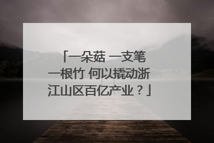 一朵菇 一支笔 一根竹 何以撬动浙江山区百亿产业？