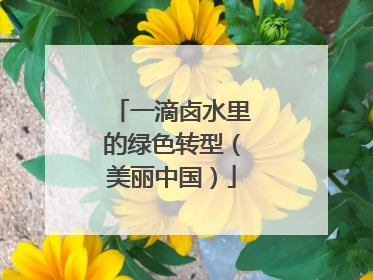 一滴卤水里的绿色转型（美丽中国）