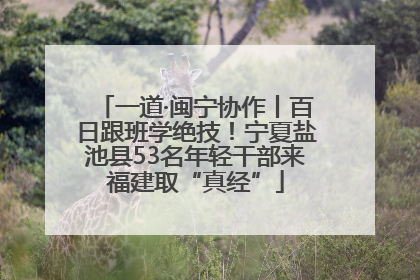 一道·闽宁协作丨百日跟班学绝技！宁夏盐池县53名年轻干部来福建取“真经”