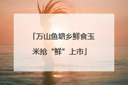 万山鱼塘乡鲜食玉米抢“鲜”上市
