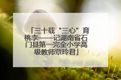 三十载“三心”育桃李——记湖南省石门县第一完全小学高级教师覃玲君