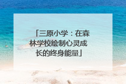 三原小学：在森林学校绘制心灵成长的终身能量