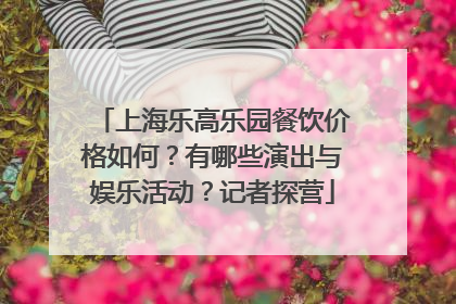 上海乐高乐园餐饮价格如何？有哪些演出与娱乐活动？记者探营