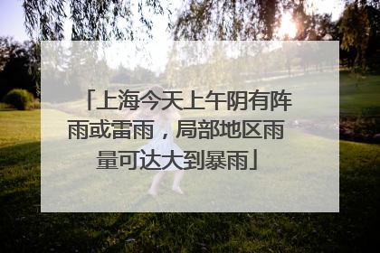上海今天上午阴有阵雨或雷雨，局部地区雨量可达大到暴雨