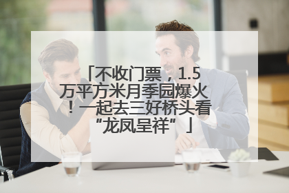 不收门票，1.5万平方米月季园爆火！一起去三好桥头看“龙凤呈祥”