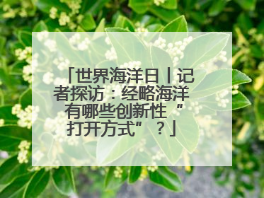 世界海洋日丨记者探访：经略海洋 有哪些创新性“打开方式”？