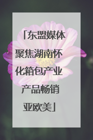 东盟媒体聚焦湖南怀化箱包产业 产品畅销亚欧美