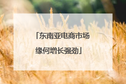 东南亚电商市场缘何增长强劲