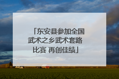 东安县参加全国武术之乡武术套路比赛 再创佳绩