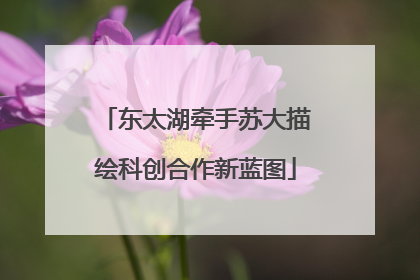 东太湖牵手苏大描绘科创合作新蓝图