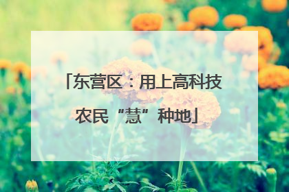 东营区：用上高科技 农民“慧”种地
