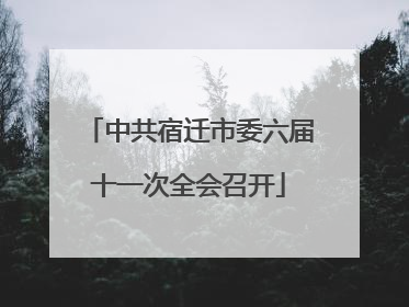 中共宿迁市委六届十一次全会召开