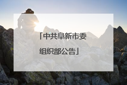 中共阜新市委组织部公告