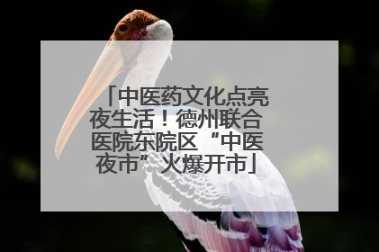 中医药文化点亮夜生活！德州联合医院东院区“中医夜市”火爆开市