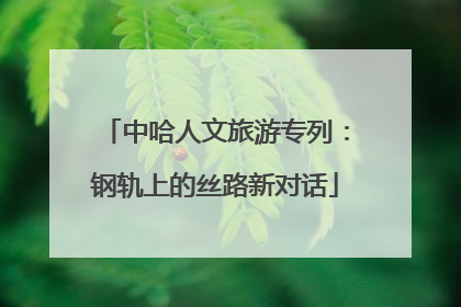 中哈人文旅游专列：钢轨上的丝路新对话