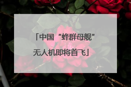 中国“蜂群母舰”无人机即将首飞