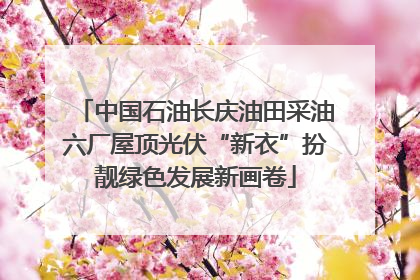 中国石油长庆油田采油六厂屋顶光伏“新衣”扮靓绿色发展新画卷