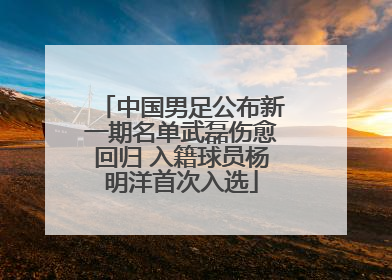 中国男足公布新一期名单武磊伤愈回归 入籍球员杨明洋首次入选