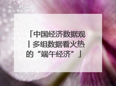 中国经济数据观丨多组数据看火热的“端午经济”