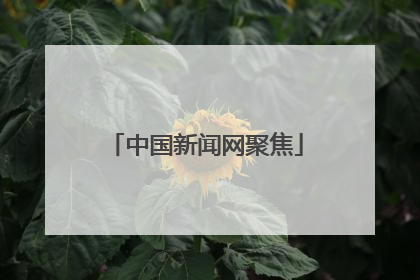 中国新闻网聚焦