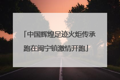 中国辉煌足迹火炬传承跑在闽宁镇激情开跑