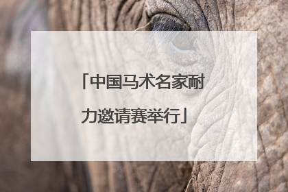 中国马术名家耐力邀请赛举行
