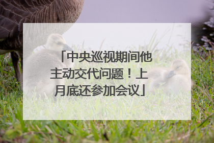中央巡视期间他主动交代问题！上月底还参加会议