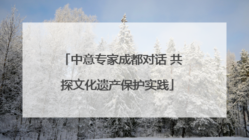 中意专家成都对话 共探文化遗产保护实践
