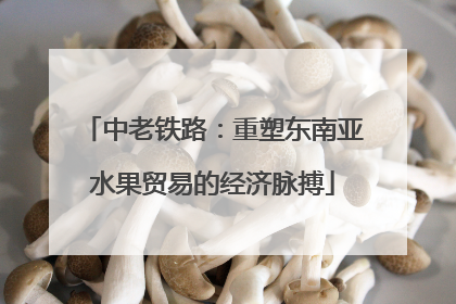 中老铁路：重塑东南亚水果贸易的经济脉搏