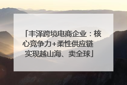 丰泽跨境电商企业：核心竞争力+柔性供应链 实现越山海、卖全球