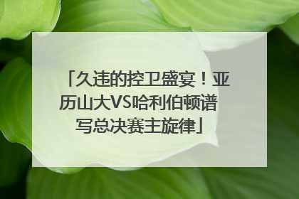 久违的控卫盛宴！亚历山大VS哈利伯顿谱写总决赛主旋律