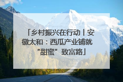 乡村振兴在行动丨安徽太和：西瓜产业铺就“甜蜜”致富路