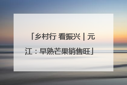 乡村行 看振兴｜元江：早熟芒果销售旺