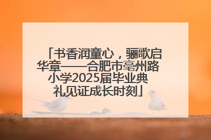 书香润童心，骊歌启华章——合肥市亳州路小学2025届毕业典礼见证成长时刻