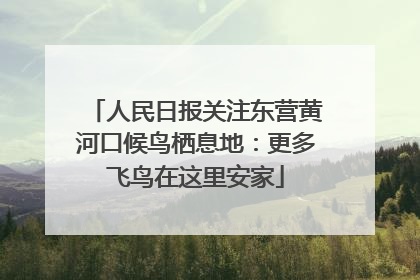 人民日报关注东营黄河口候鸟栖息地：更多飞鸟在这里安家
