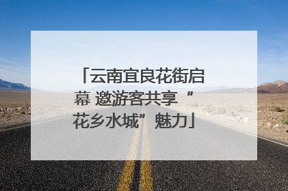 云南宜良花街启幕 邀游客共享“花乡水城”魅力